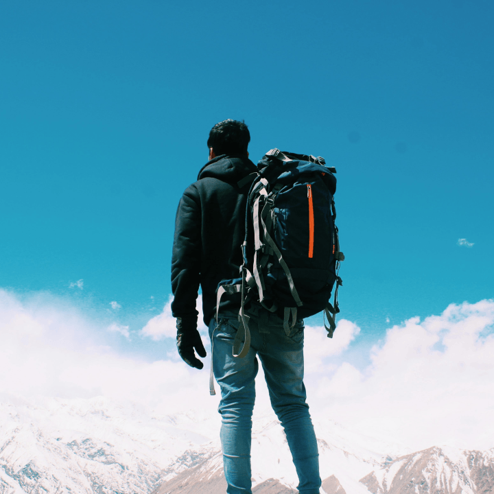 Traveler