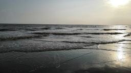 image-alt