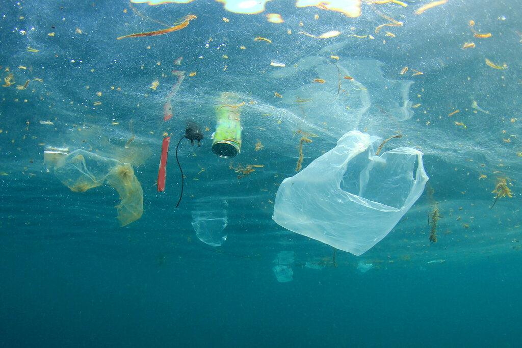 Water Pollution Facts: How We Can Stop Polluting Water