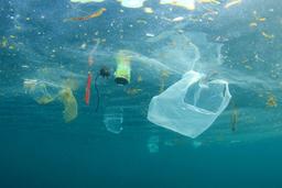 Water Pollution Facts: How We Can Stop Polluting Water