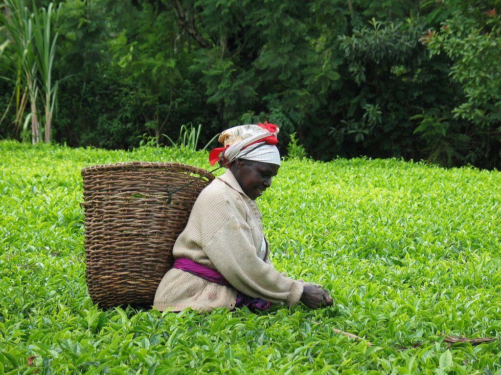 Sustainable lifestyles | UNEP - UN Environment Programme