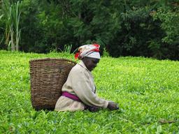 Sustainable lifestyles | UNEP - UN Environment Programme