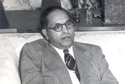 BR Ambedkar: In his own words | Mint
