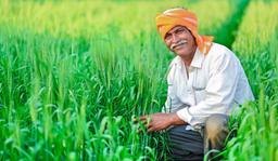 A Farmer
