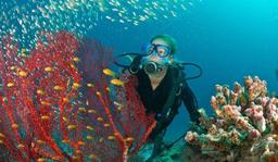 Sipadan Island: A Guide To Malaysia's Diving Paradise!