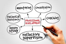 Professional Development