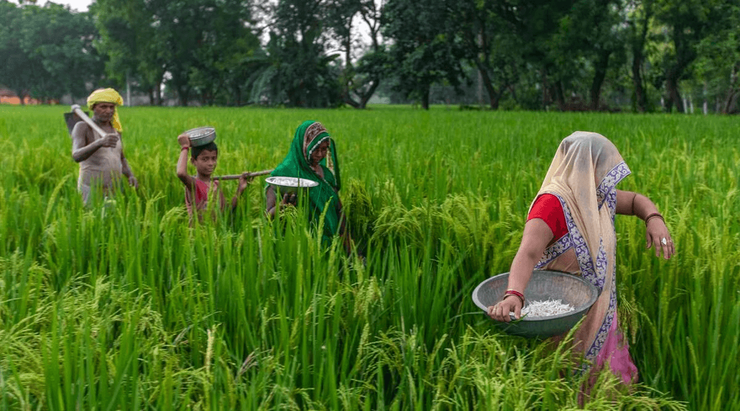 Farmer’s Day 2024