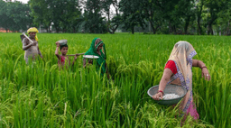 Farmer’s Day 2024