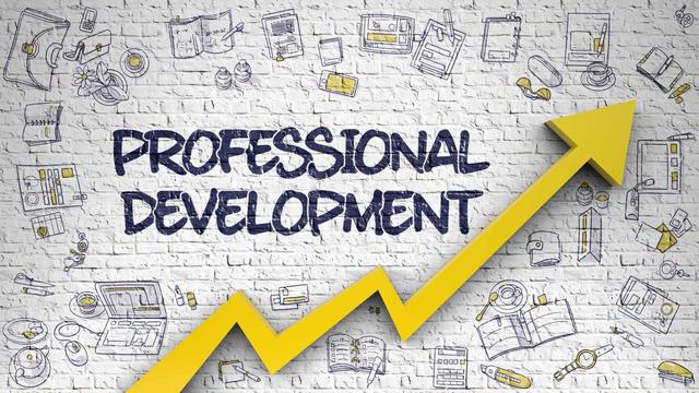                                                                  Professional Development