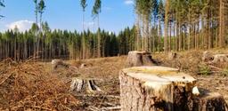 Essay on Depletion of Natural Resources for Students | 500 Words Essay