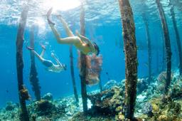 Sauwandarek Jetty | Meridian Adventure Raja Ampat Indonesia | Scuba Diving  | Marina Resort