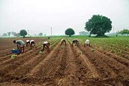 Farmer’s Day 2024