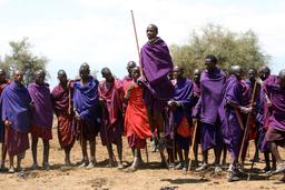 What is Adumu | Adumu Safaris