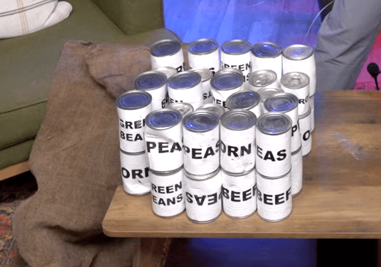 MrBeast delivering 50 cans of food to starving teams in the wilderness