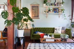 110 Essential Household Items Everyone Should Have | Apartment Therapy