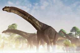 Dinosaur found in Argentina may be largest land animal ever | New Scientist