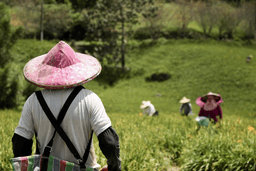 Farmer’s Day 2024