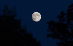 The Importance Of The Full Moon In The Night Sky | WUWM 89.7 FM -  Milwaukee's NPR