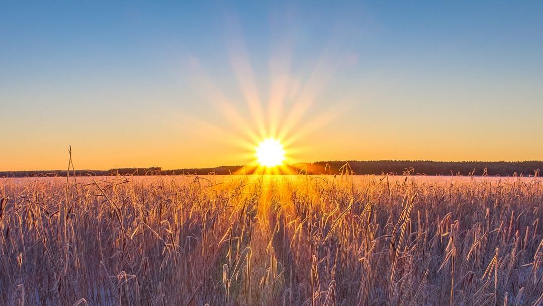 Summer Solstice 2023: Why Is June 21 Longest Day Of The Year; All You Need  To Know