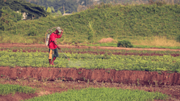 Farmer’s Day 2024