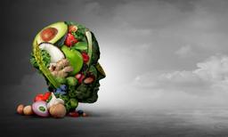 Mythbusting: “How A Vegan Diet Could Affect Your Intelligence” - Whitney E.  RD