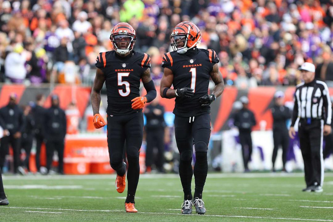 Tee Higgins and Ja’Marr