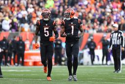 Tee Higgins and Ja’Marr