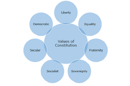 Guiding Values of the Constitution