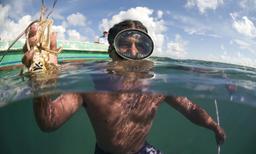 Saving Belize's magnificent and endangered barrier reef | Stories | WWF