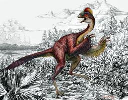 Bird-like dinosaur, birthing frog among 2015&#8217;s top 10 new species