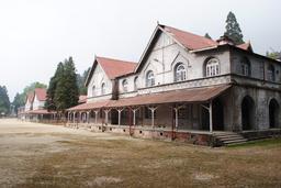image-alt
