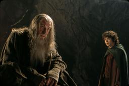 The Lord of the Rings: The Fellowship of the Ring (2001) - IMDb