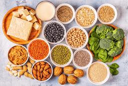 10 Plant-Based Foods for a Protein-Rich Vegetarian Diet – Hello Tempayy