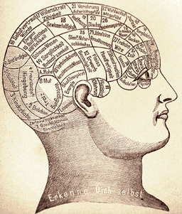 Wilhelm Wundt: The man who pioneered Psychology & Experimental  Introspection - HubPages