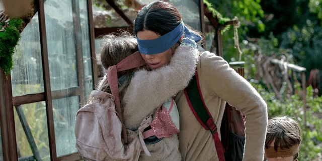 Bird Box