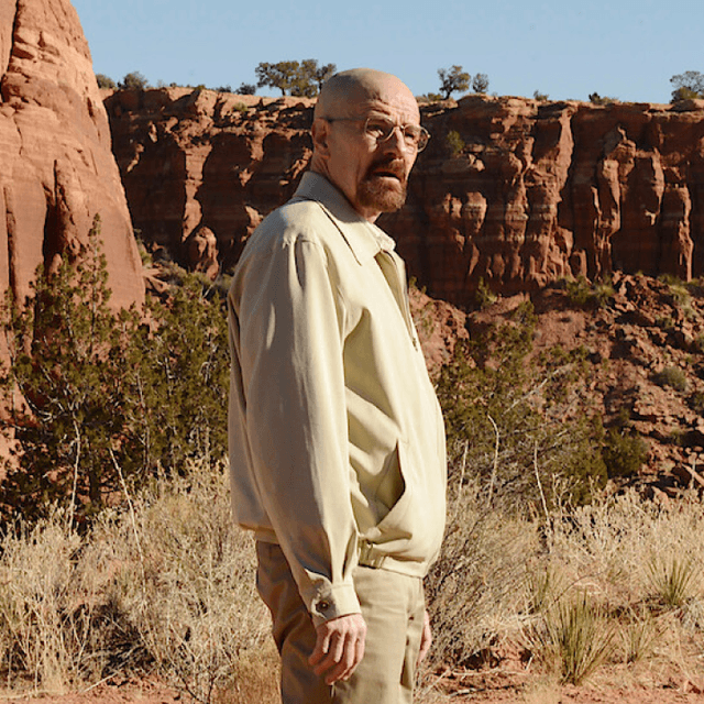 Walter White from Breaking Bad