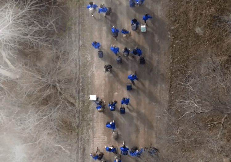 crowed in the wilderness for a challenge 
