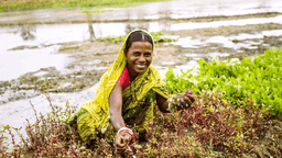 Farmer’s Day 2024