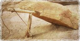 Traps and snares