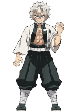 Demon Slayer Hashira