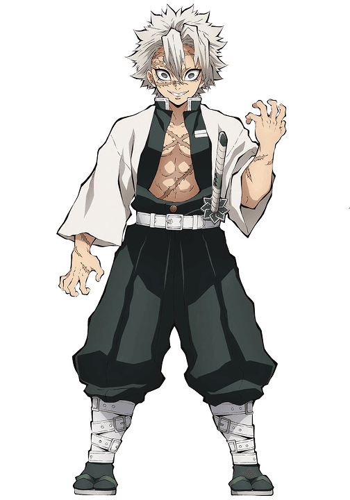 Demon Slayer Hashira