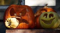 Halloween Day 2023: Date, history, significance and celebration - Hindustan  Times