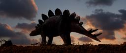 Stegosaurus: The enigmatic icon of the Jurassic - BBC Science Focus Magazine