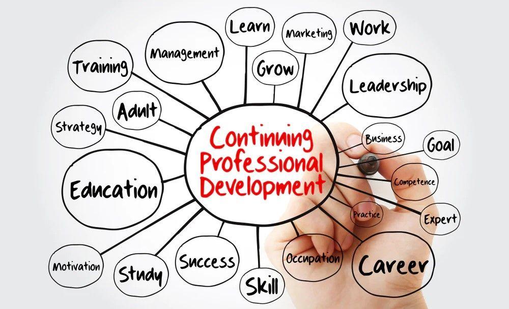 Professional Development