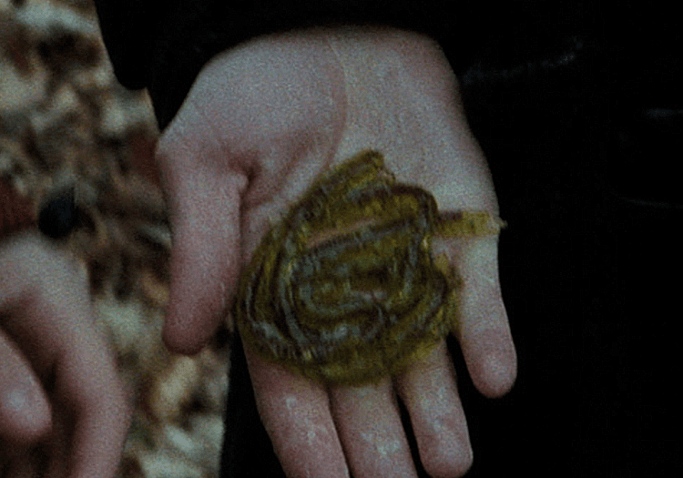 Harry Potter - gillyweed