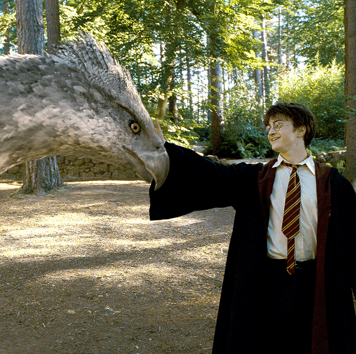 Harry Potter