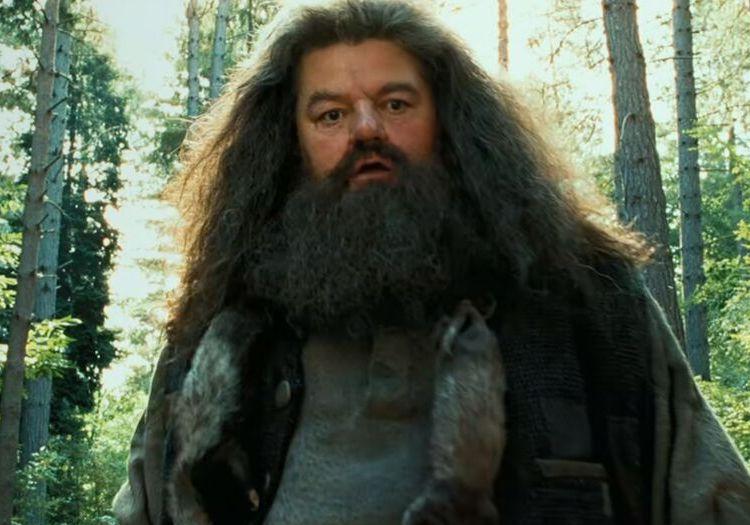 hagrid-in-harry-potter