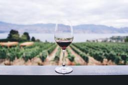 Full-bodied red wine