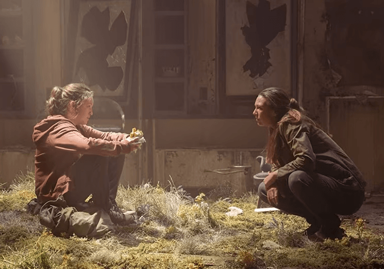 last of us