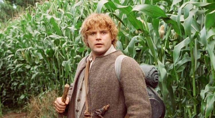 Lord-of-the-Rings-Samwise-Gamgee
